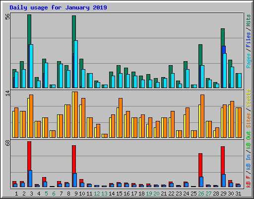 Daily usage for January 2019