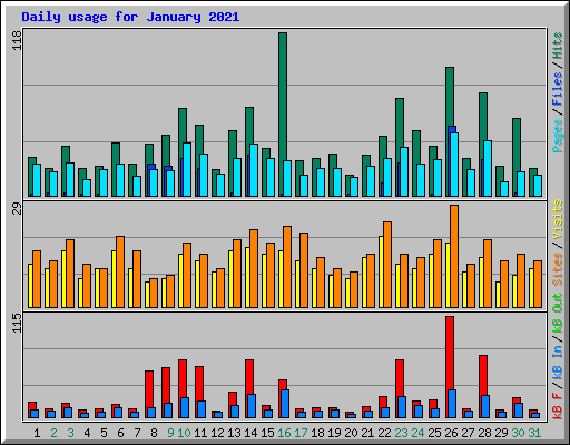 Daily usage for January 2021