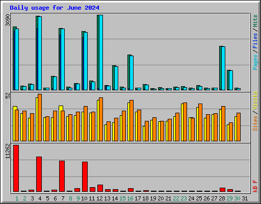 Daily usage for June 2024