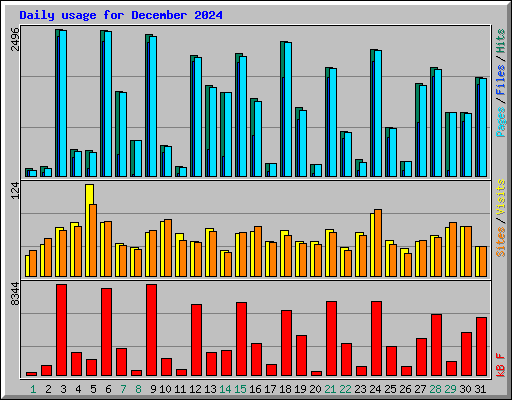 Daily usage for December 2024