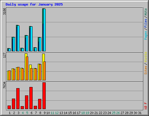 Daily usage for January 2025