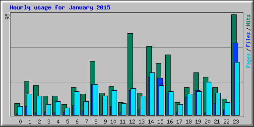 Hourly usage for January 2015