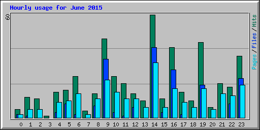 Hourly usage for June 2015