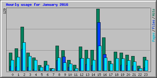 Hourly usage for January 2016