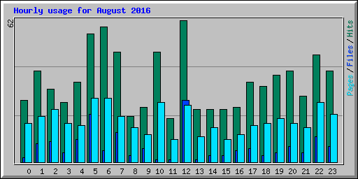 Hourly usage for August 2016