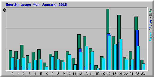 Hourly usage for January 2018