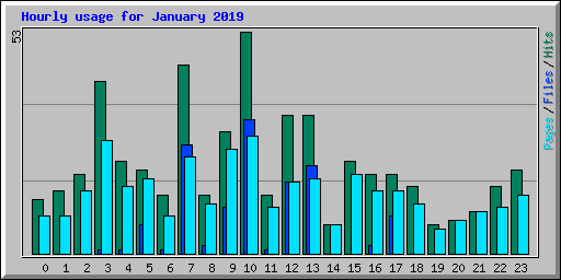 Hourly usage for January 2019