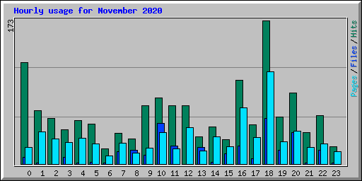 Hourly usage for November 2020