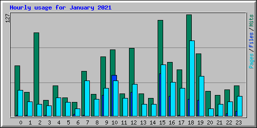 Hourly usage for January 2021