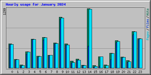 Hourly usage for January 2024