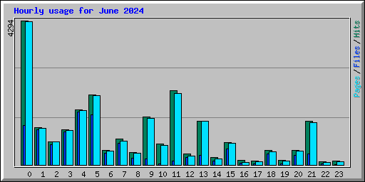 Hourly usage for June 2024