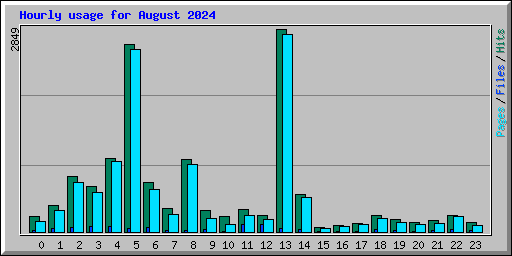 Hourly usage for August 2024