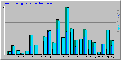 Hourly usage for October 2024