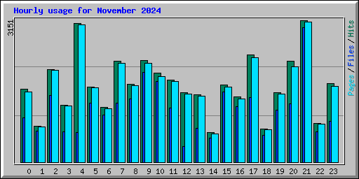 Hourly usage for November 2024