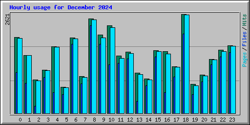 Hourly usage for December 2024