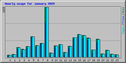 Hourly usage for January 2025